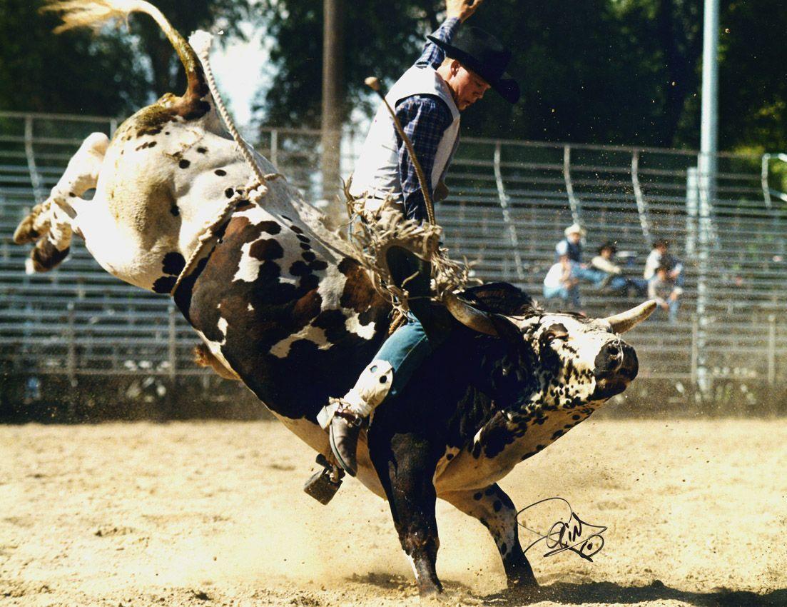 Rodeo Bull Riding