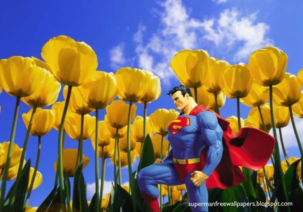 Superman Free Comic Superhero Wallpaper: February 2012
