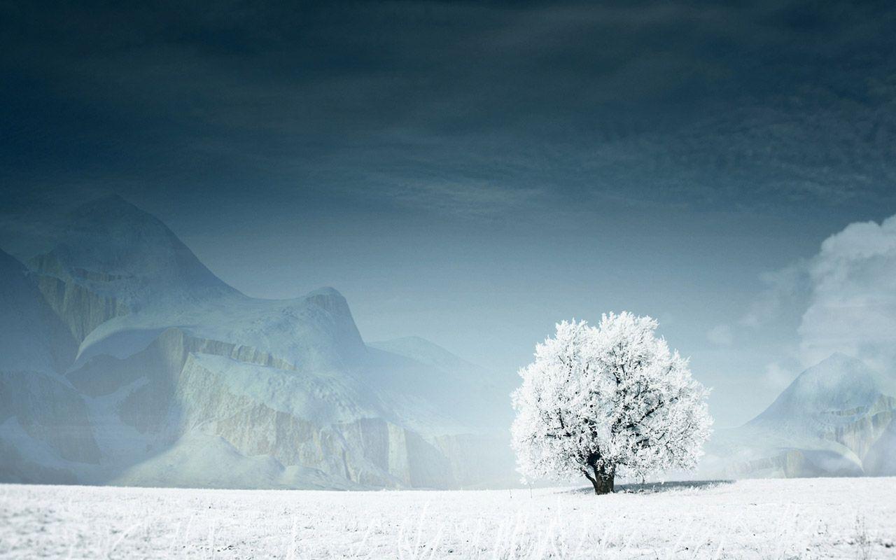 Winter Landscape Wallpaper HD