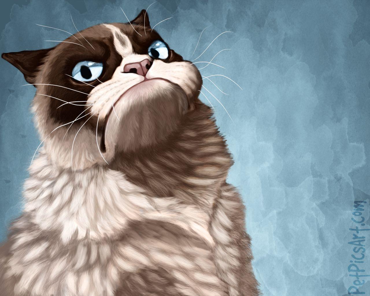 Grumpy Cat PictureHD Wallpaper