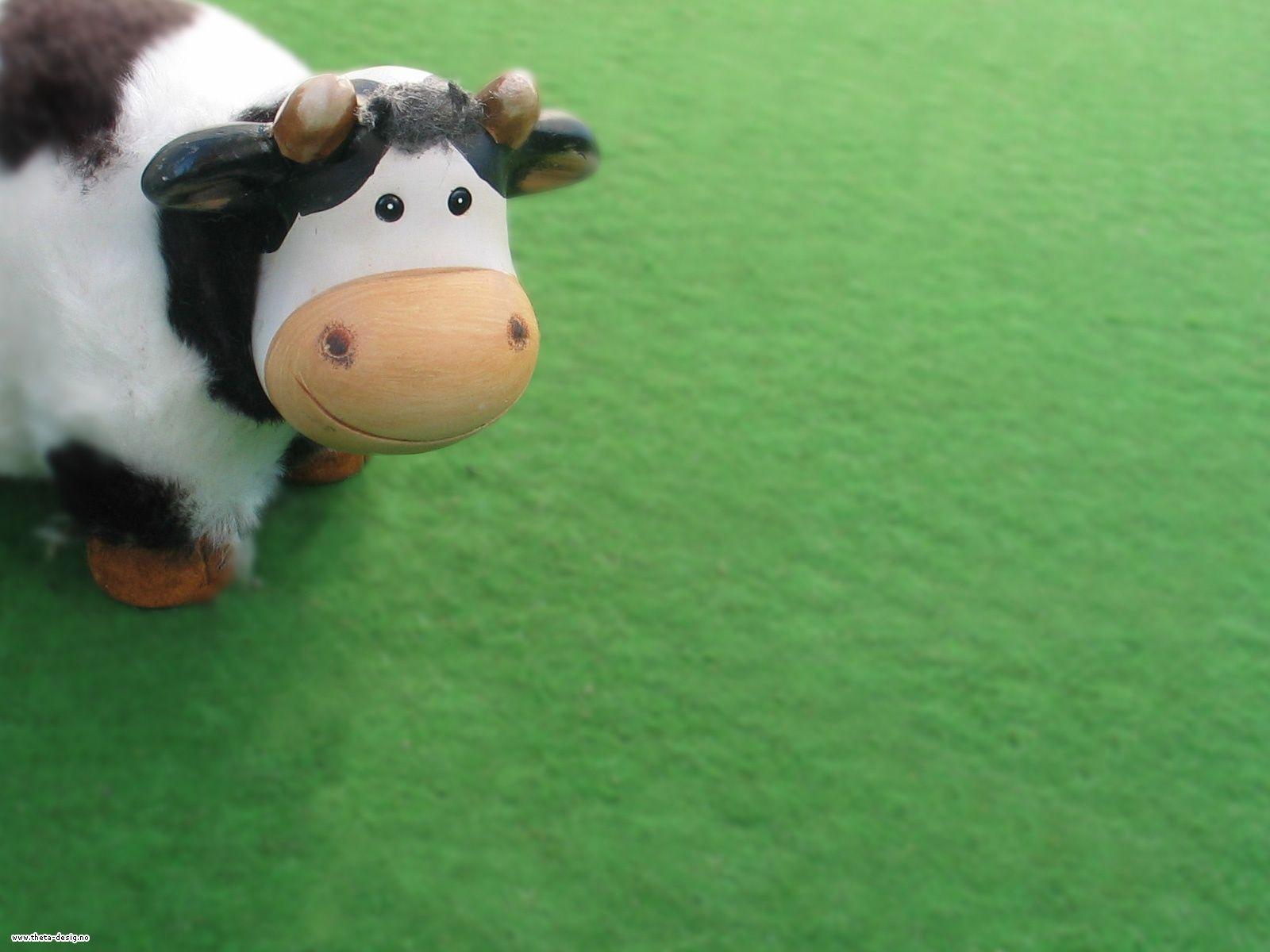 Cute cow desktop PC and Mac wallpaper