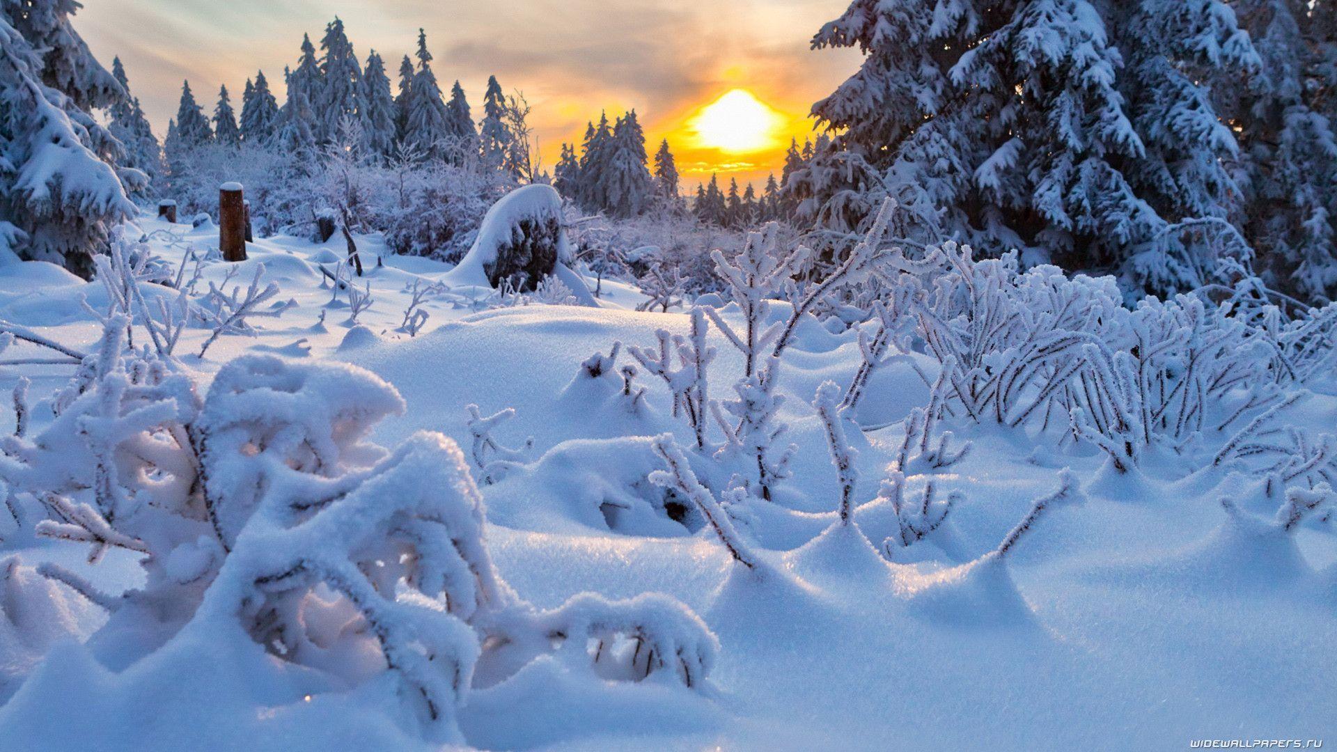 Download Winter Season Natures Nature Landscape Winter Wallpaper