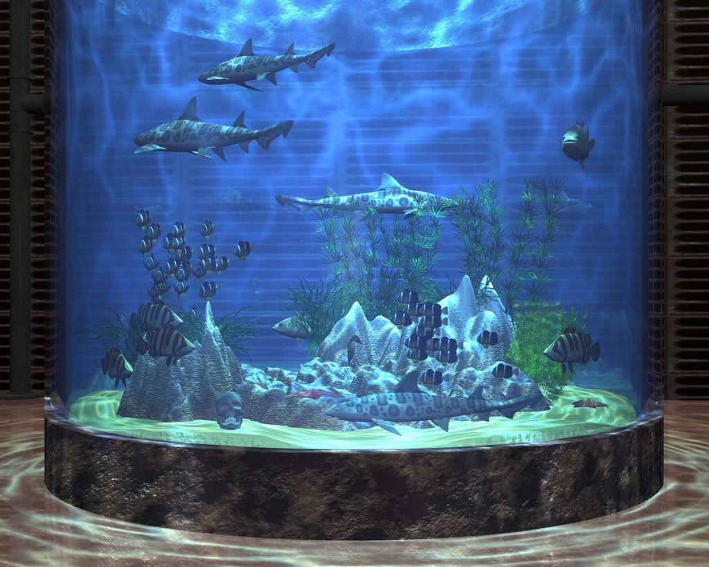 Aquarium Background 7 Desktop Background. WallFortuner