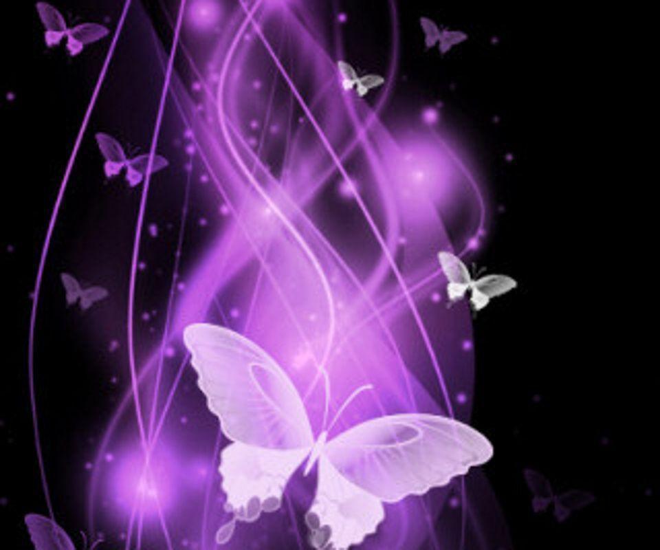 Purple Butterflies free mobile wallpaper nature download