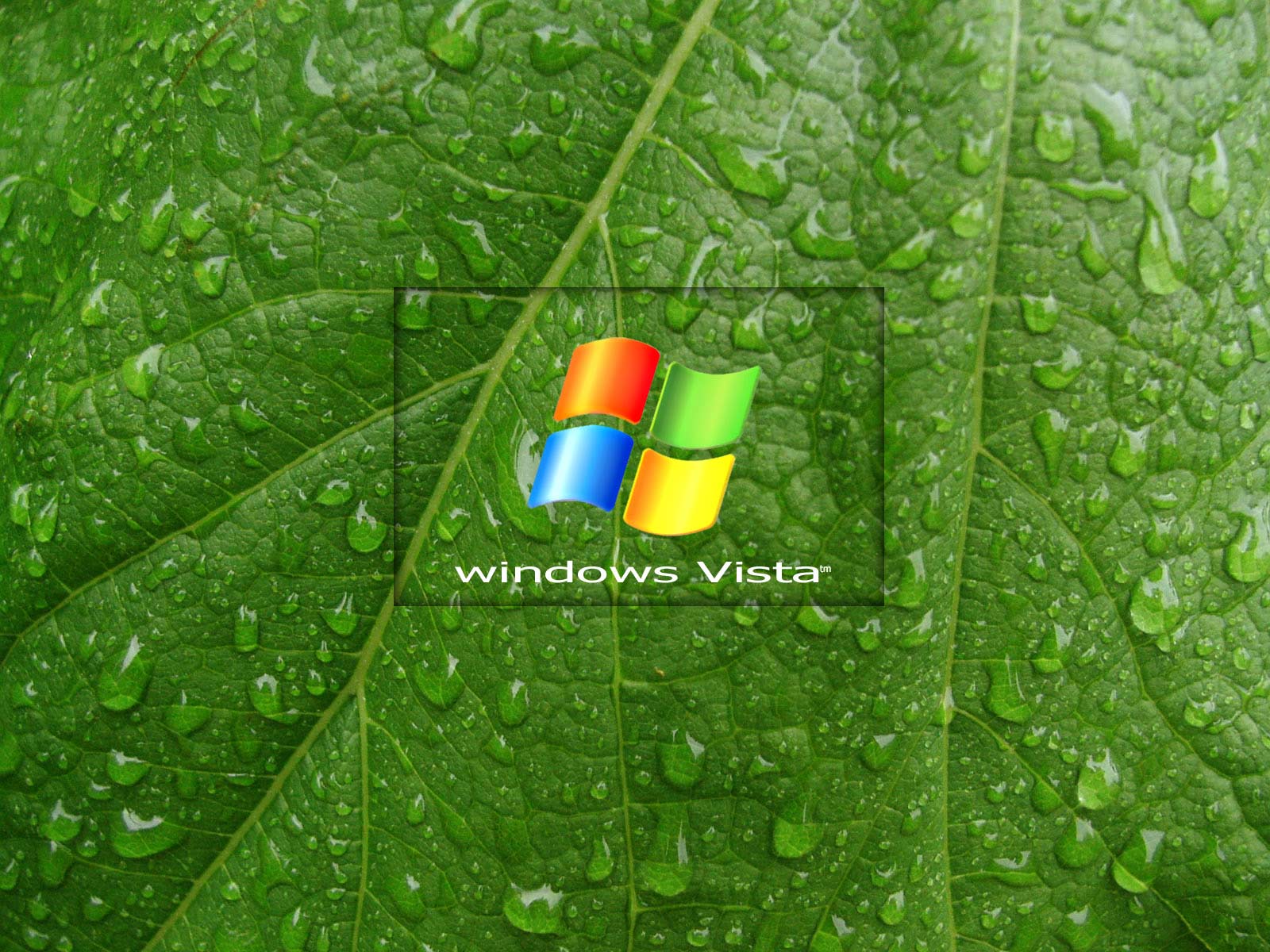 Desktop Wallpaper · Gallery · Computers · Windows Vista. Free