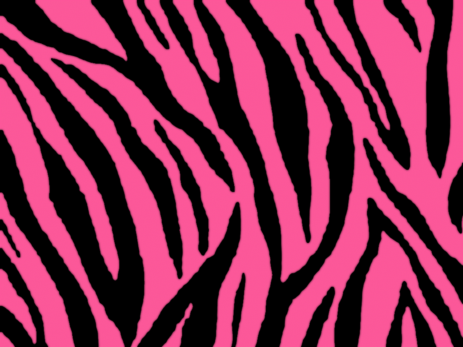 Cool Pink Zebra Background free download cool pink background