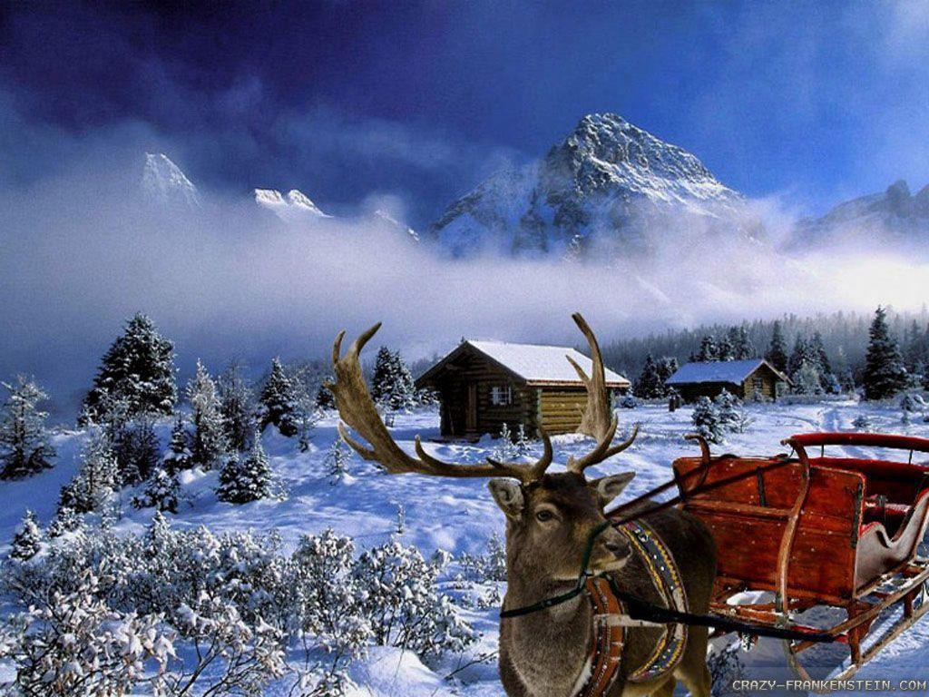 Christmas Winter Scenes Wallpaper 25 1024x768 Pixel