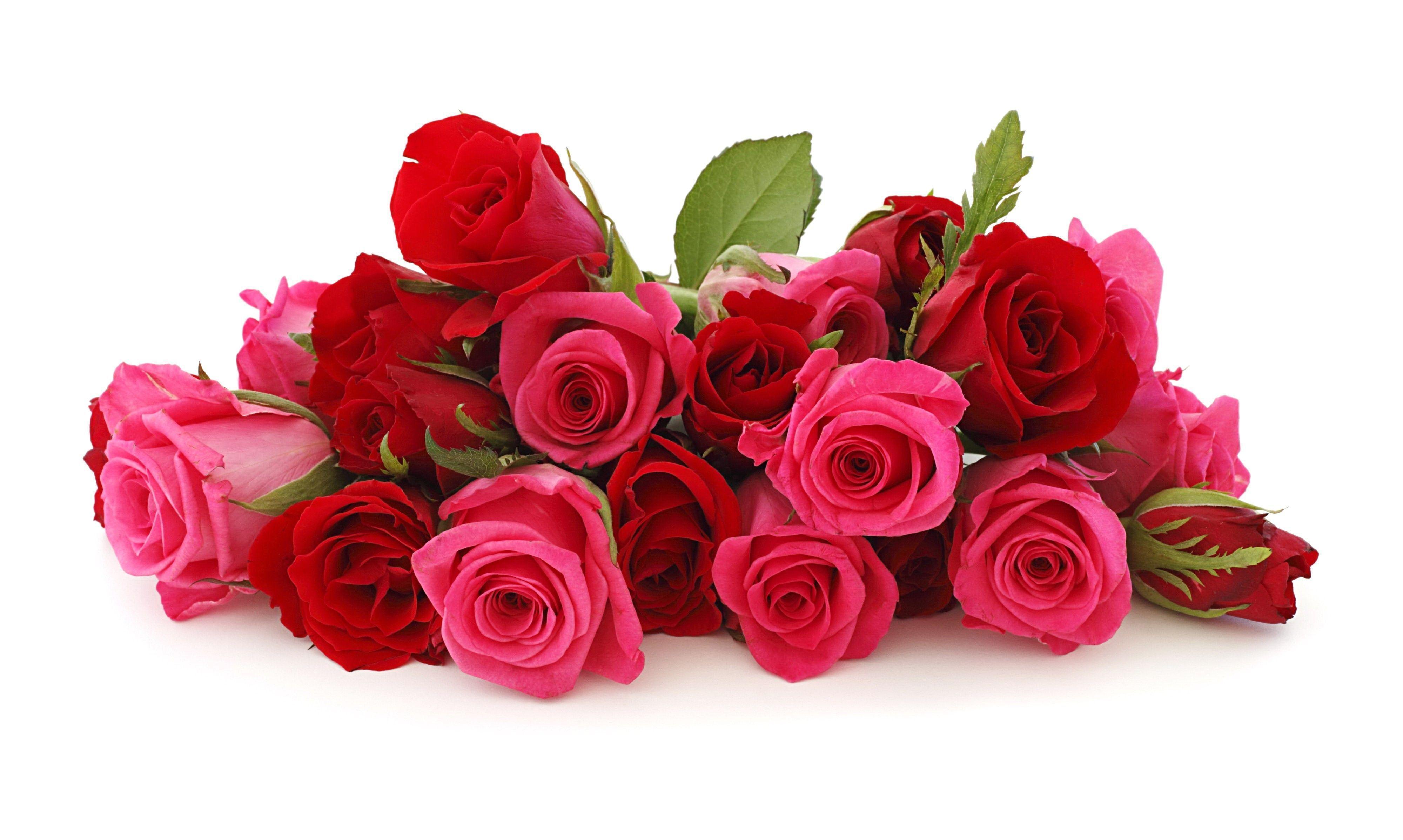 Red Rose & Pink Rose Flowers Bouquet HD Wallpaper