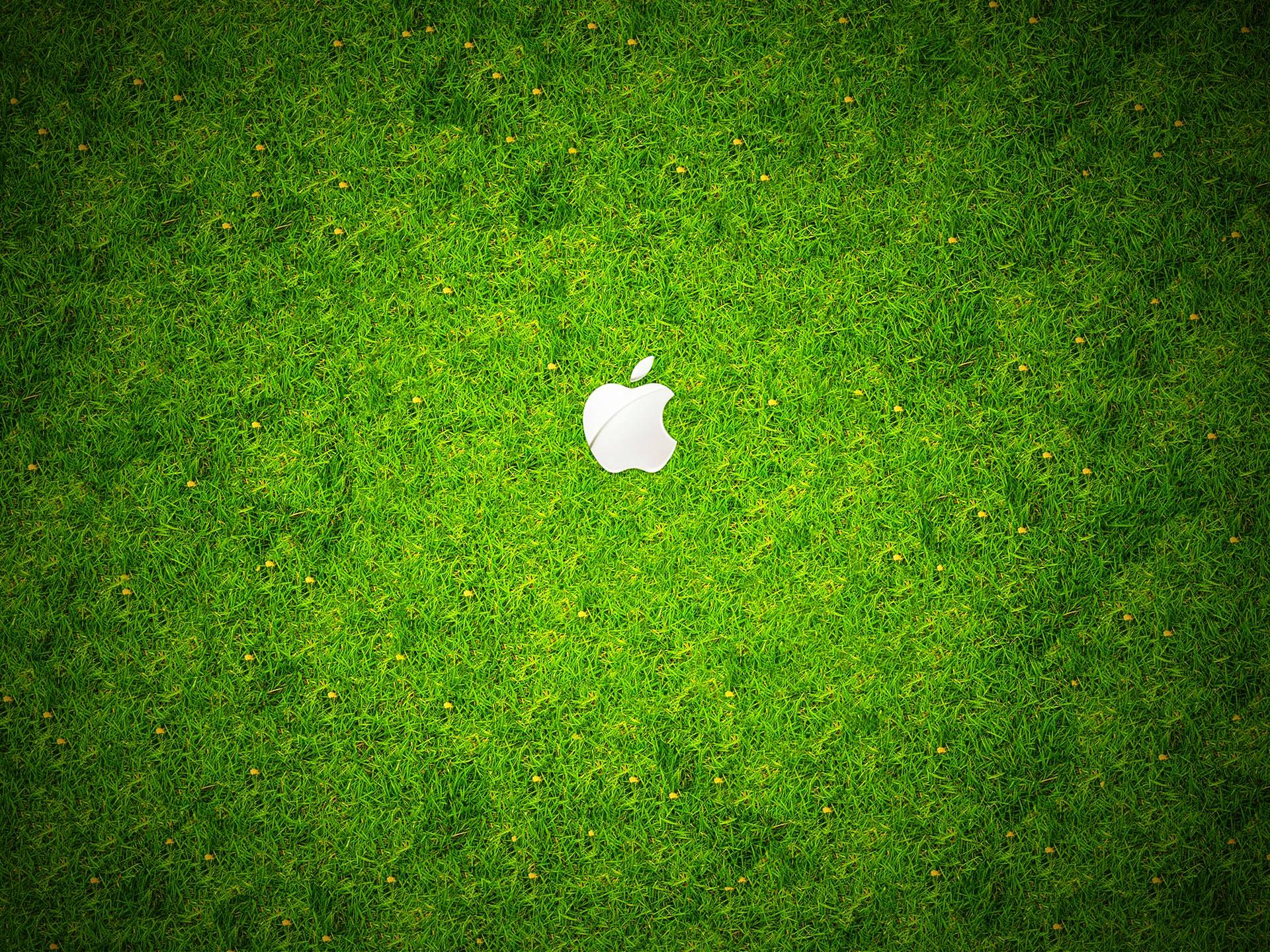 Apple Green Grass Wallpaper
