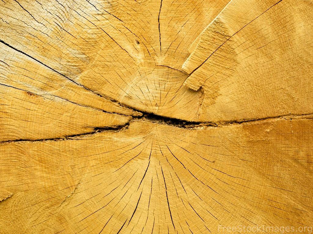 Oak Wood, Desktop And Mobile Wallpaper