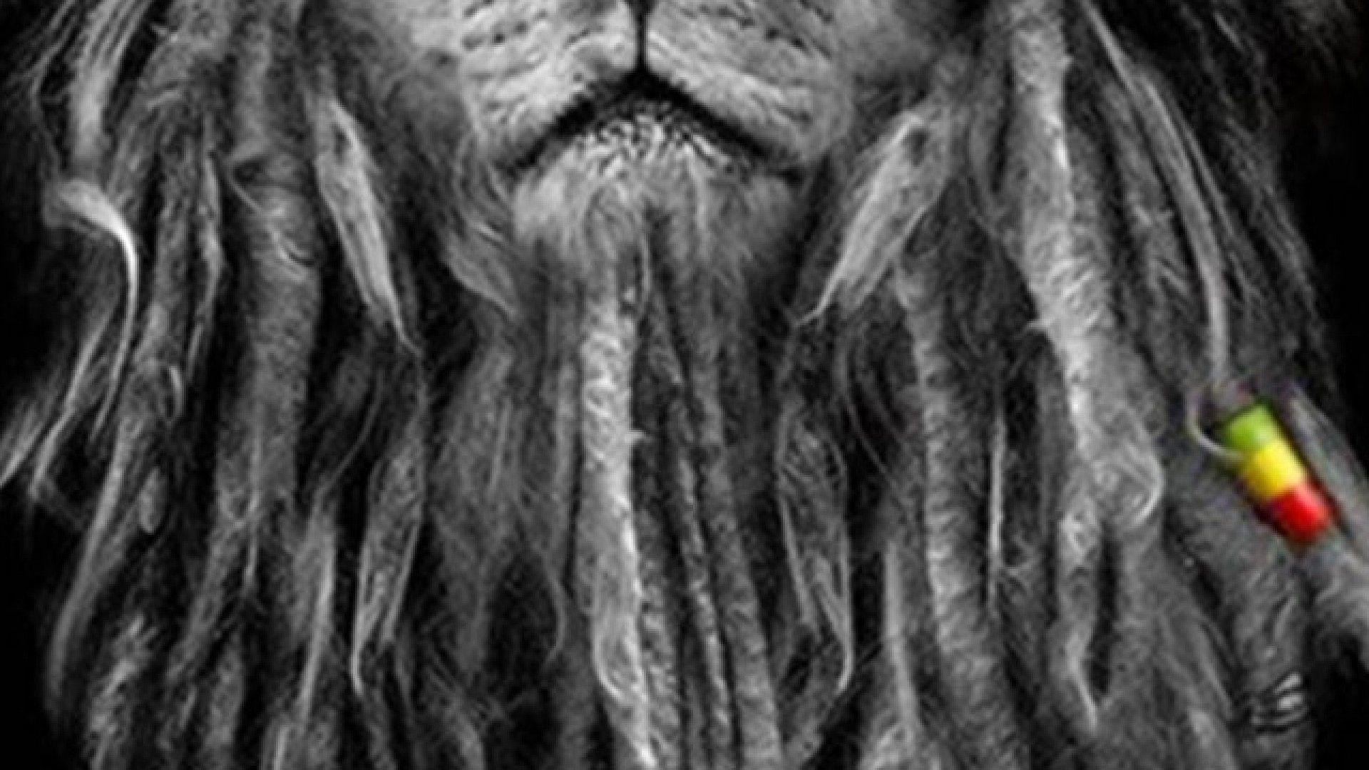 Wallpaper For > Rasta Lion iPhone 5 Wallpaper