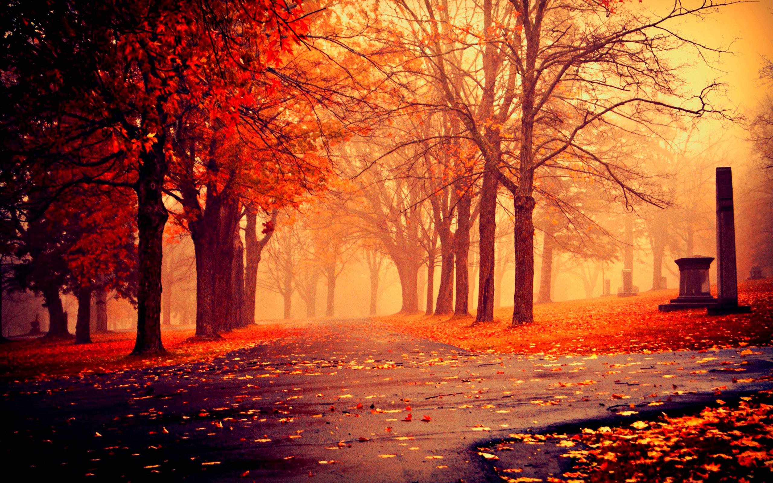 Fall Wallpapers Wallpaper Cave