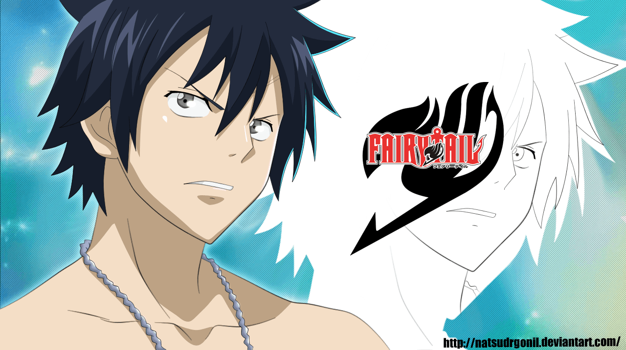 Wallpaper For > Fairy Tail Wallpaper HD Gray