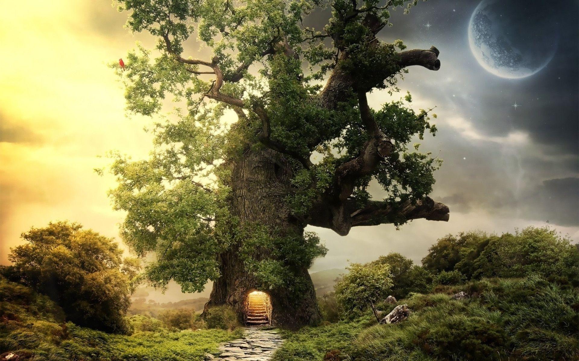 Download wallpaper tree, oak, planet free desktop wallpaper in