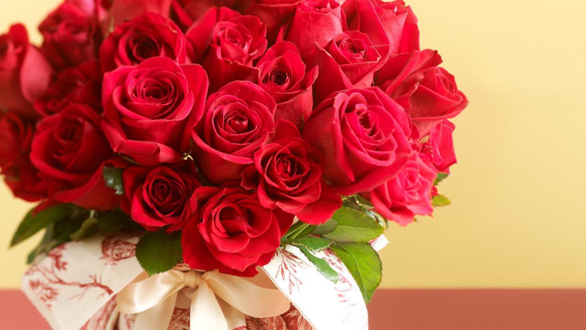 Valentines For > Beautiful Red Roses Wallpaper For Desktop