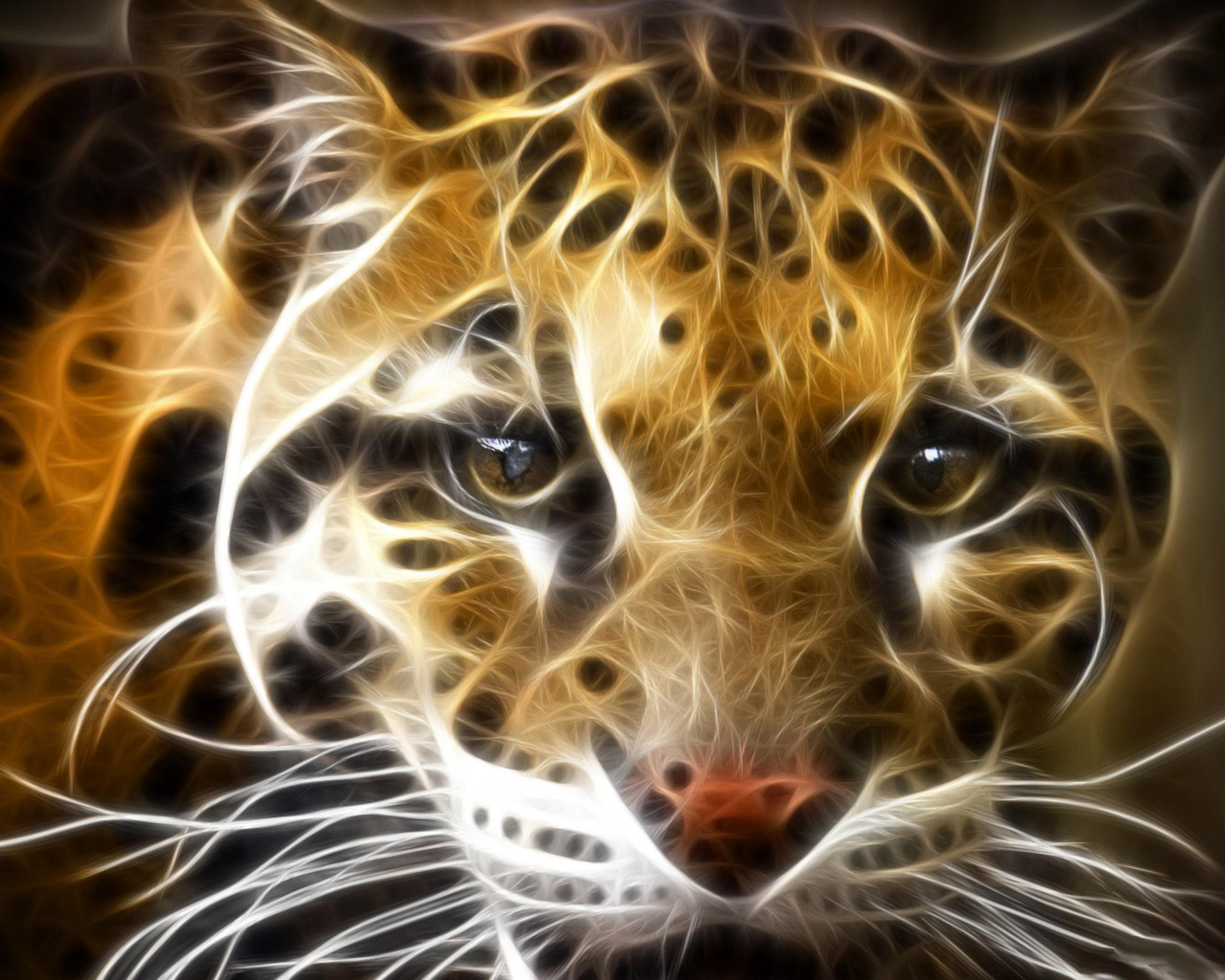Wild Cat HD Desktop Wallpaper for Widescreen, High Definition