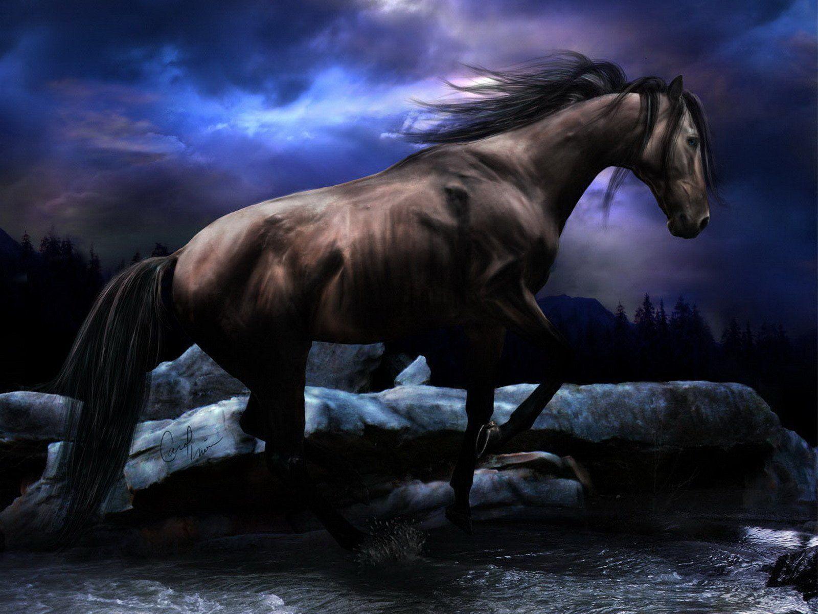 Wallpaper For > Cool Background Of Horses
