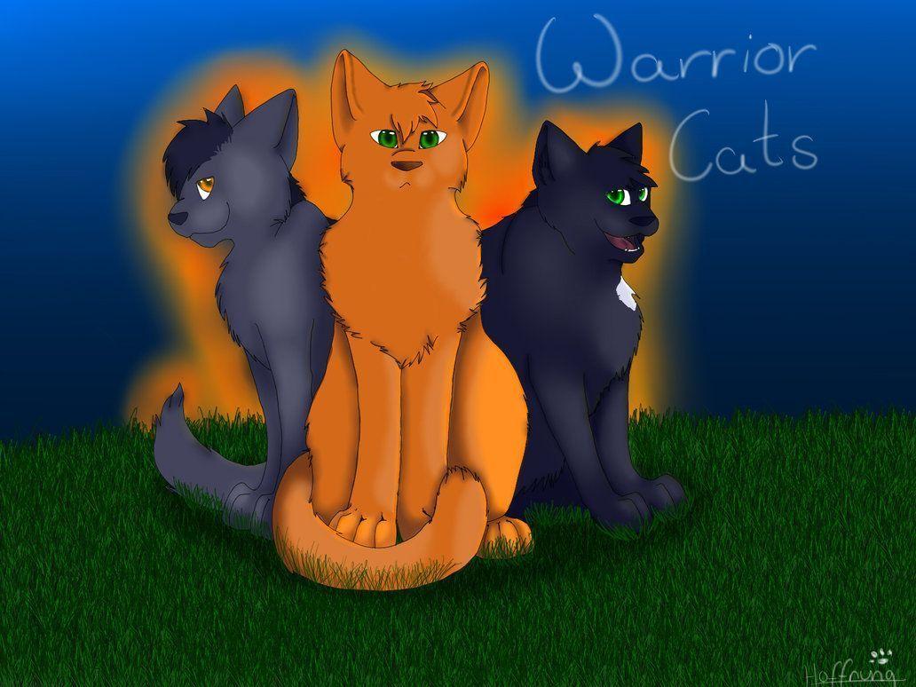 Warrior Cat Wallpaper. Cattpix.com