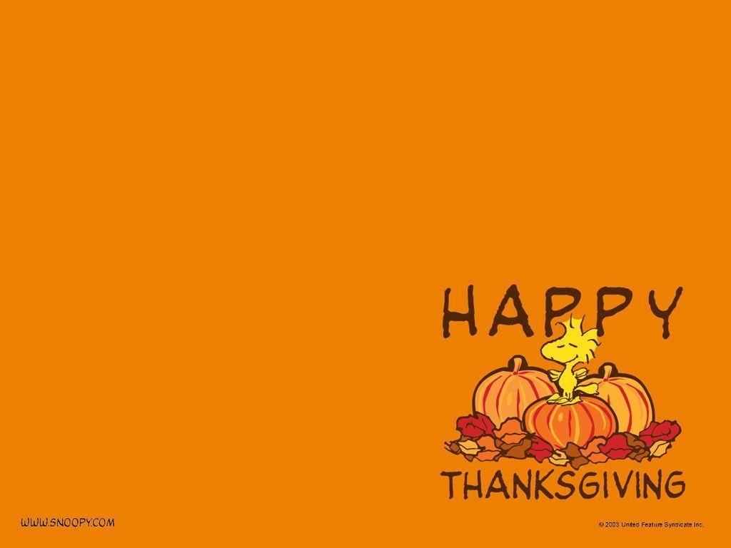 Free Thanksgiving Wallpaper. Video Downloading and Video