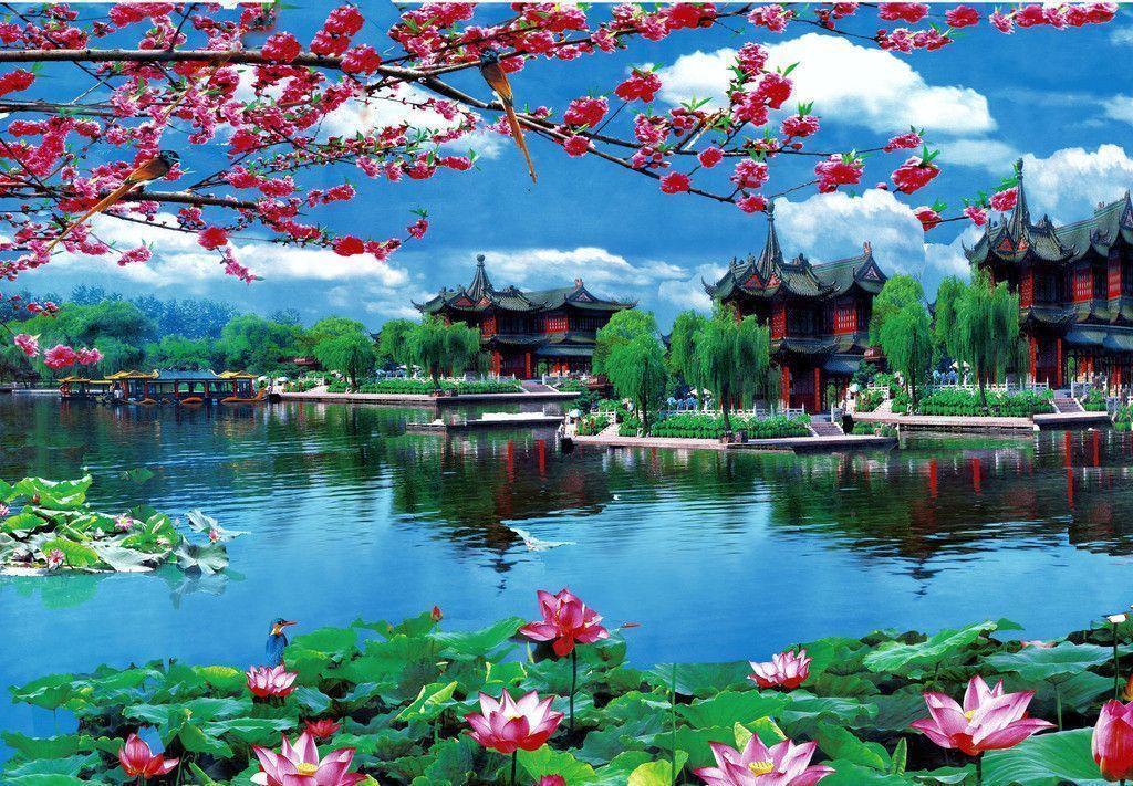 Japan wallpaper lake and homes classic townfull HD landscapehigh