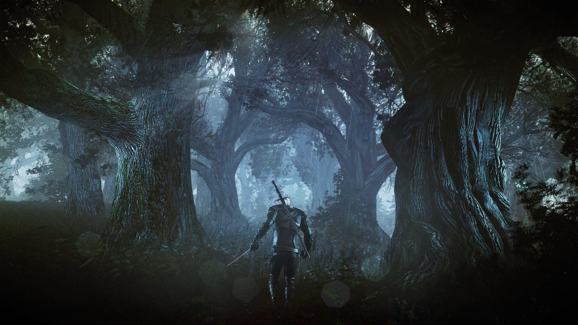 The Witcher 3 Wallpaper #