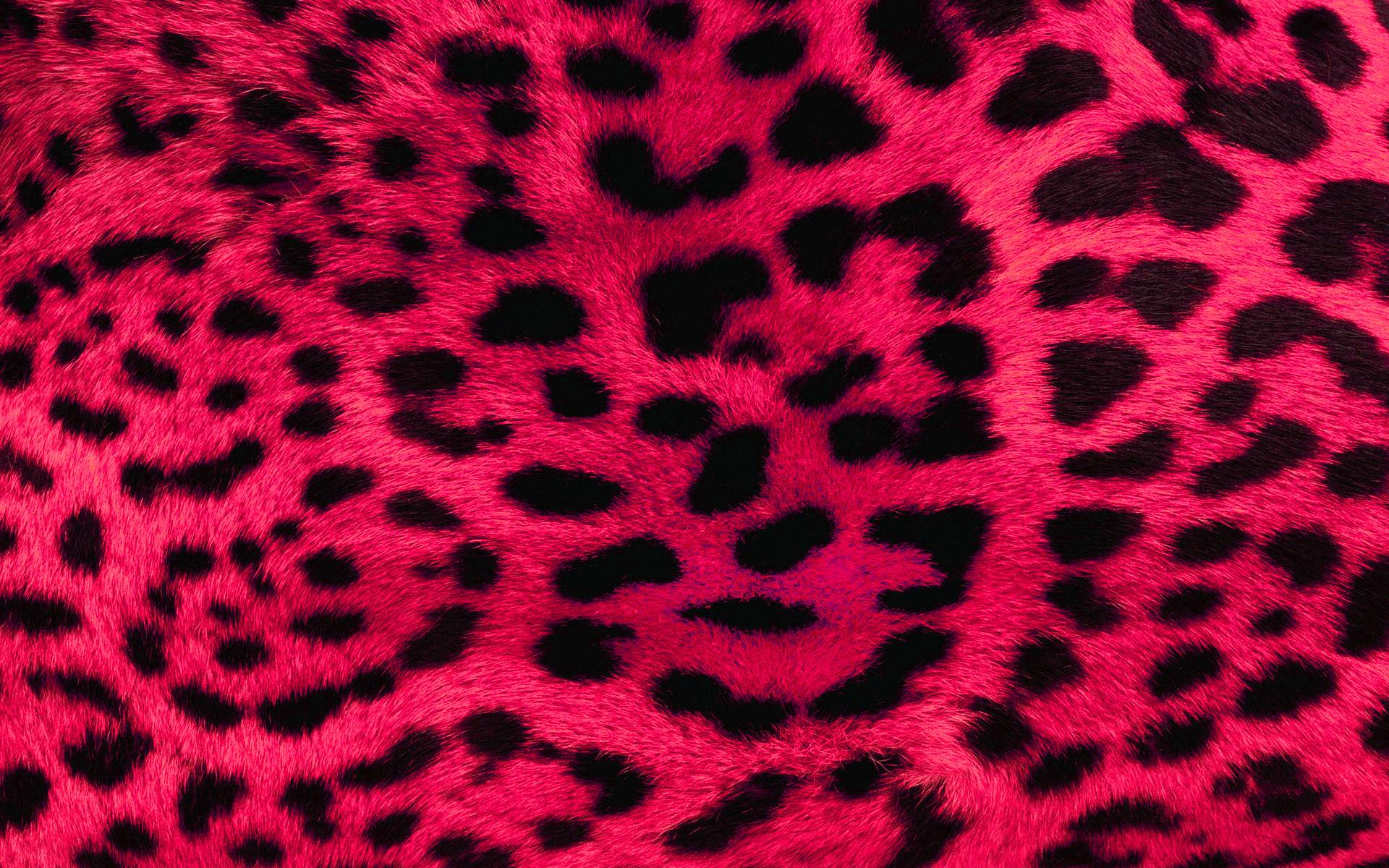 Download Pink Leopard Print Free Wallpaper 1920x1200. Full HD