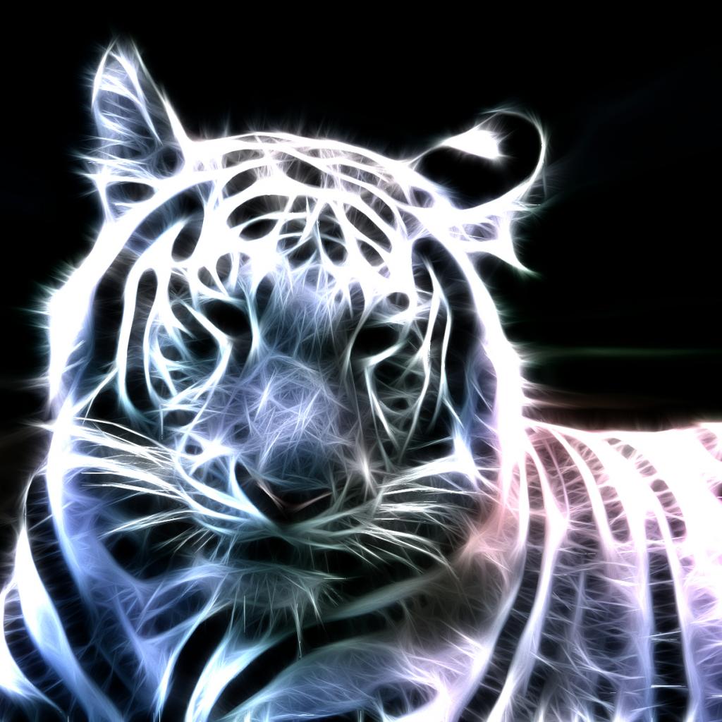 White Tiger Dangerous Wallpaper: Free White Tiger Picture