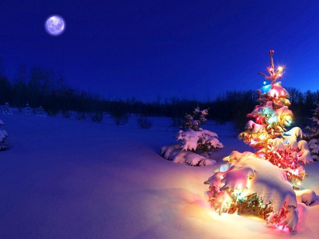 3D Christmas Desktop Background Christmas Trees