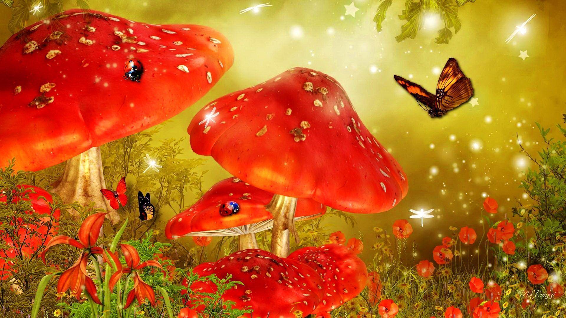 fairytale forest wallpaper Search Engine