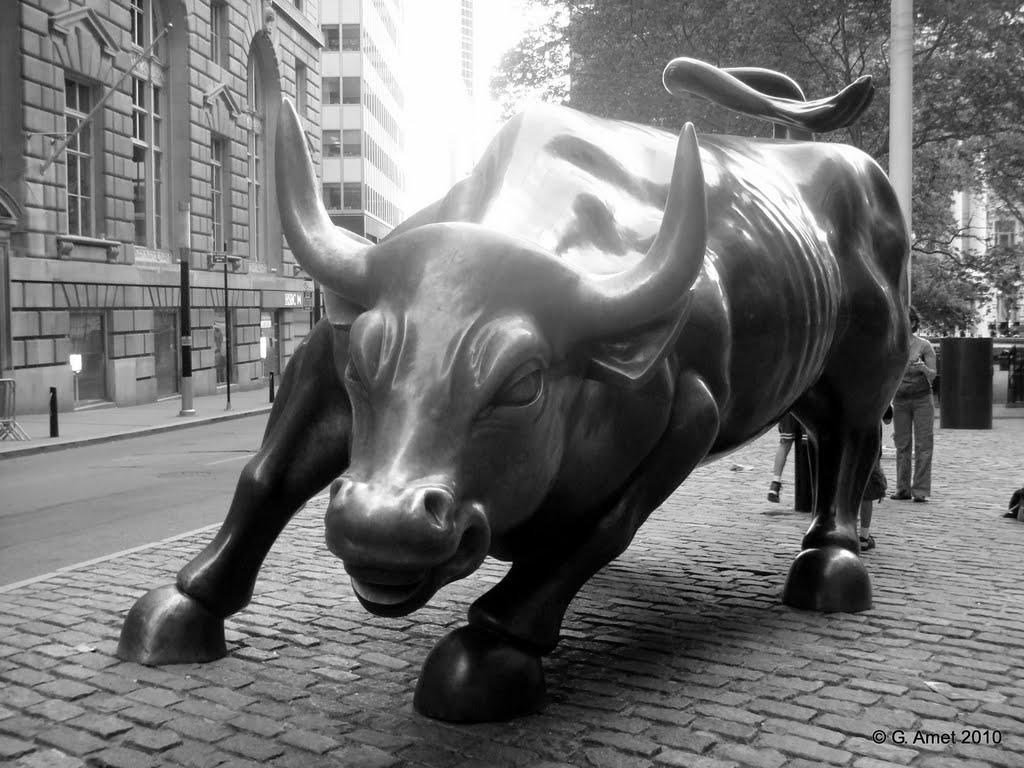 image For > Wall Street Bull Wallpaper