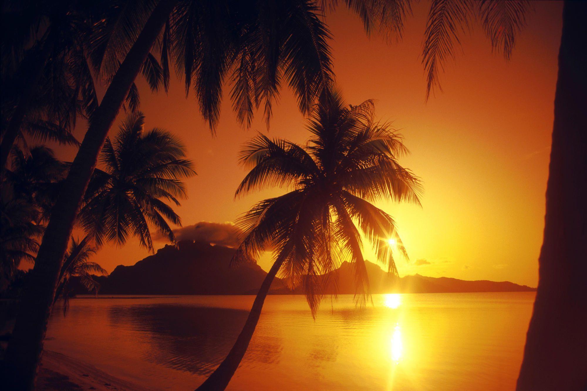 Beautiful Beach Sunset Desktop Picture Wallpaper