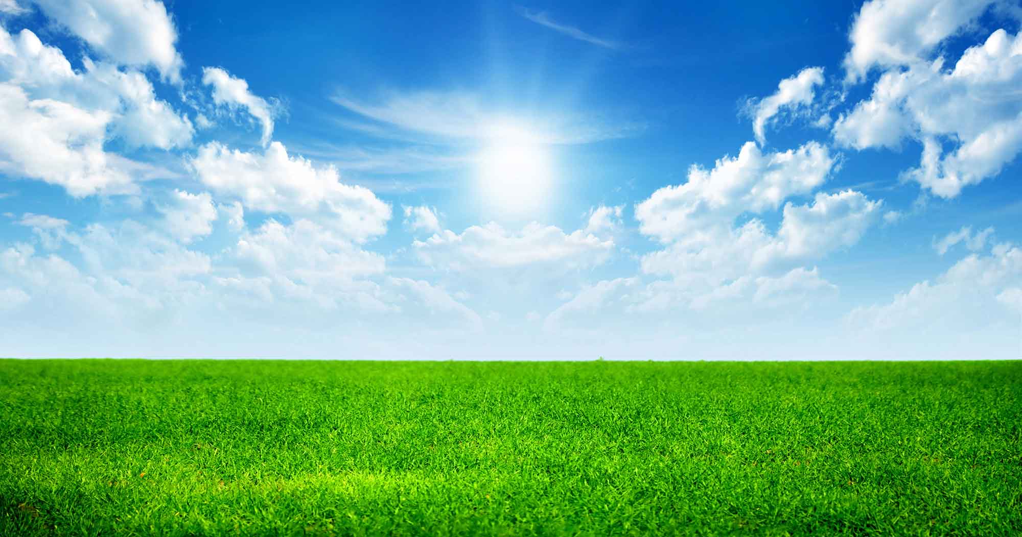 Wallpaper For > Green Grass And Sky Background