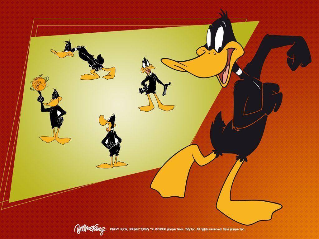 Looney Tunes Daffy Duck Wallpaper Download Free