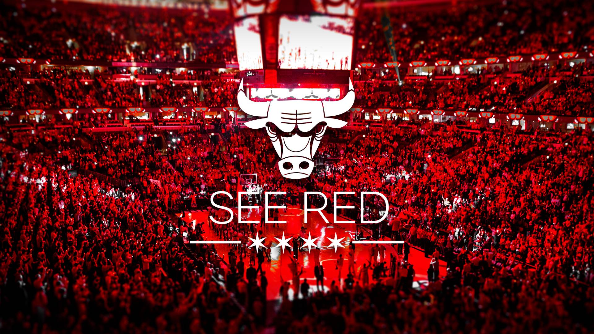 SEE RED. Chicago Bulls Playoffs