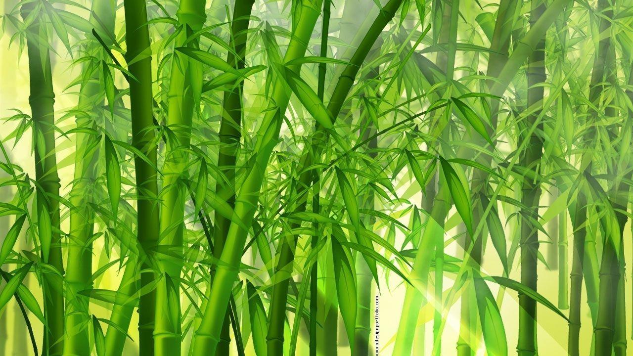 Pix For > Bamboo Leaves Wallpaper