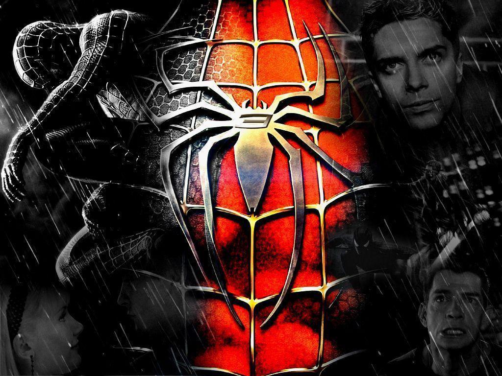 image For > Spider Man 3 Wallpaper