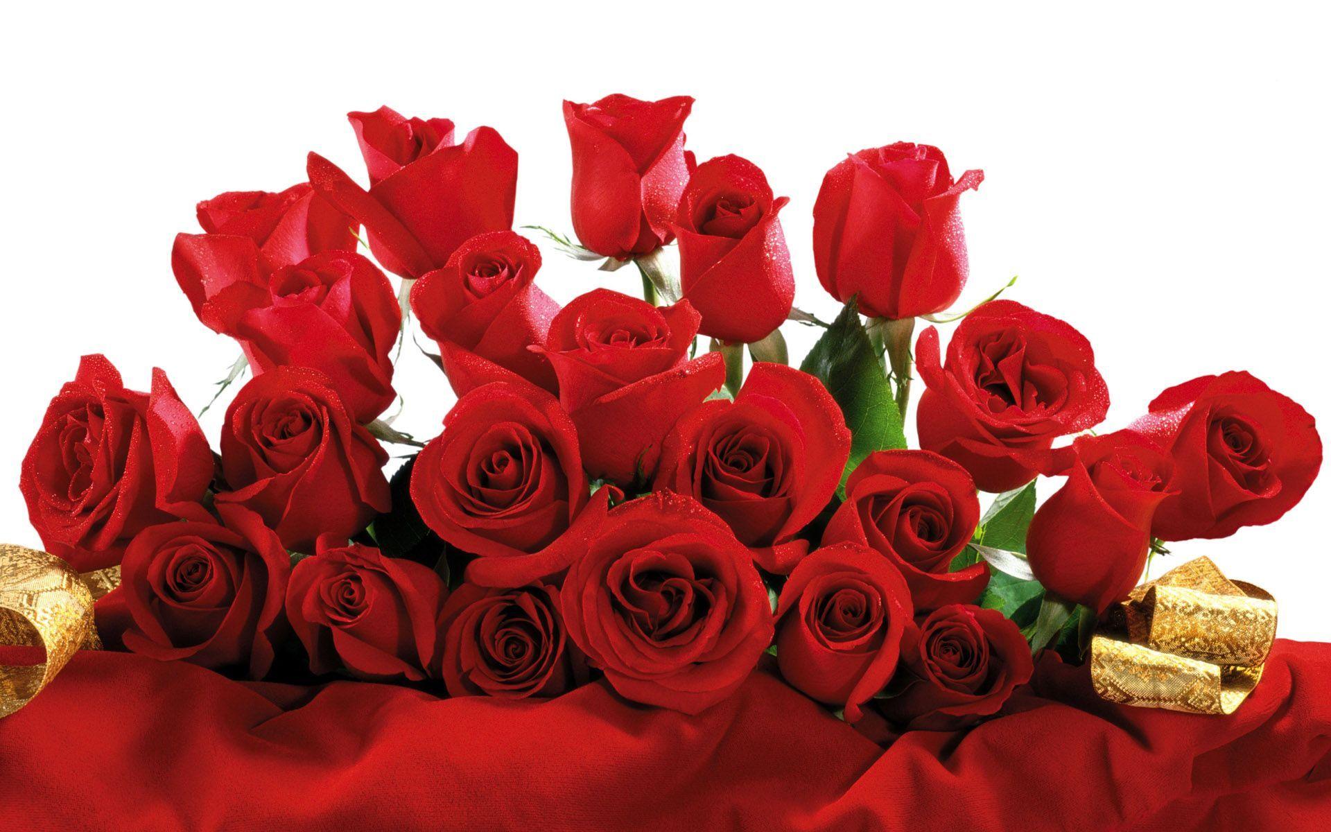 Red Rose Bouquet Desktop Wallpaper