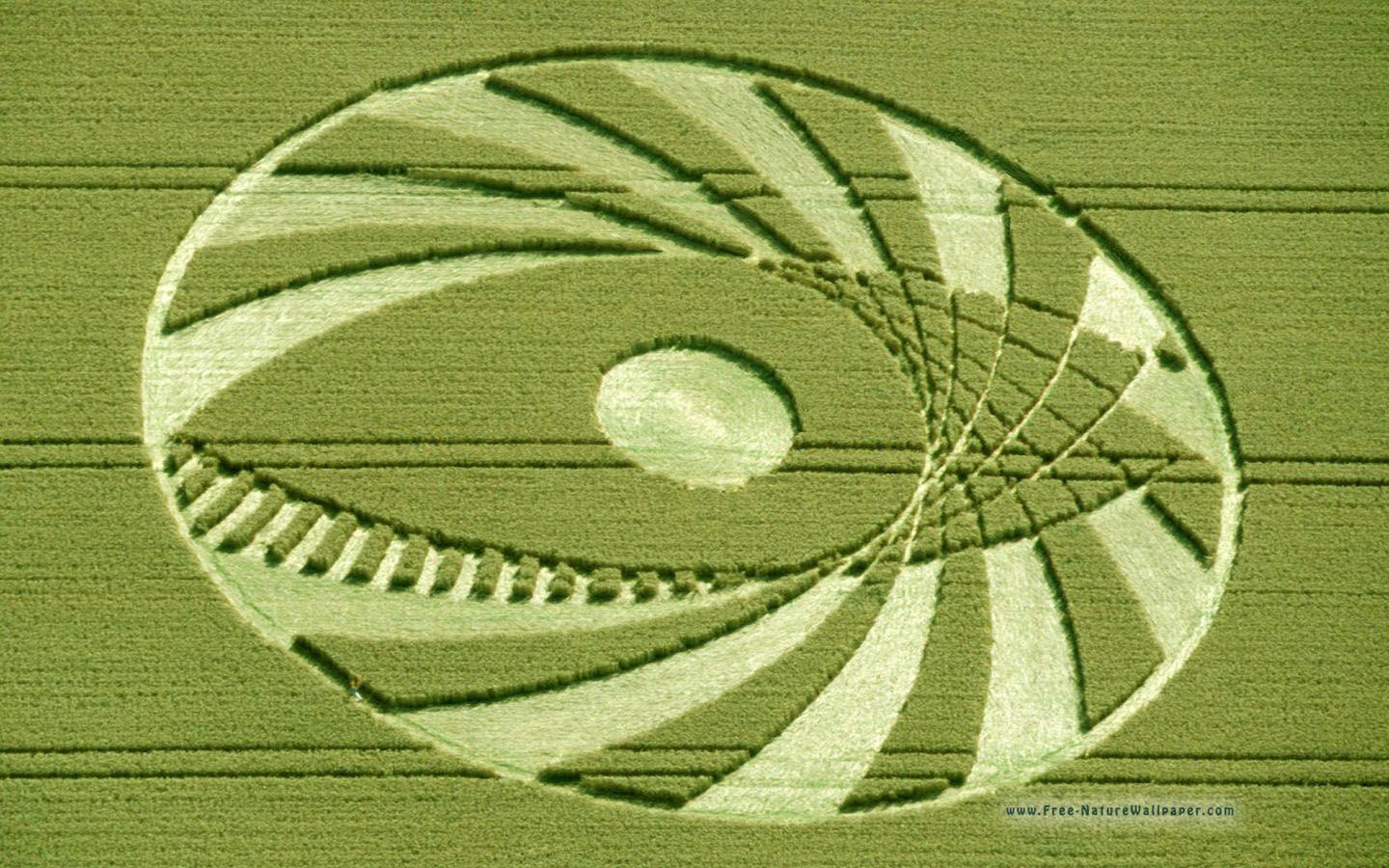 Scarab. Crop Circles Wallpaper Download (1440x900)