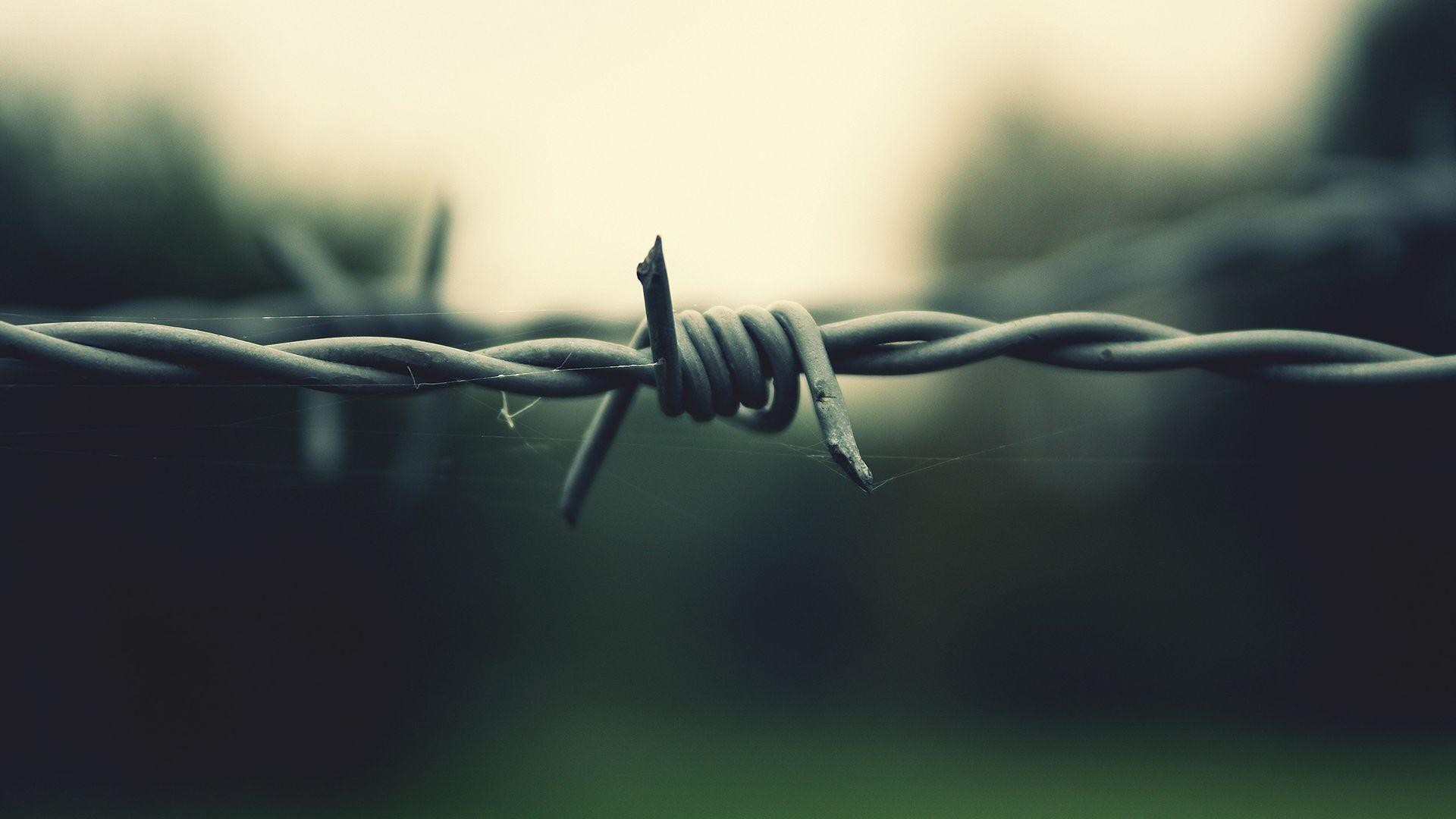 Barbed Wire Wallpaper Amazing Decoration 615716 Decorating Ideas