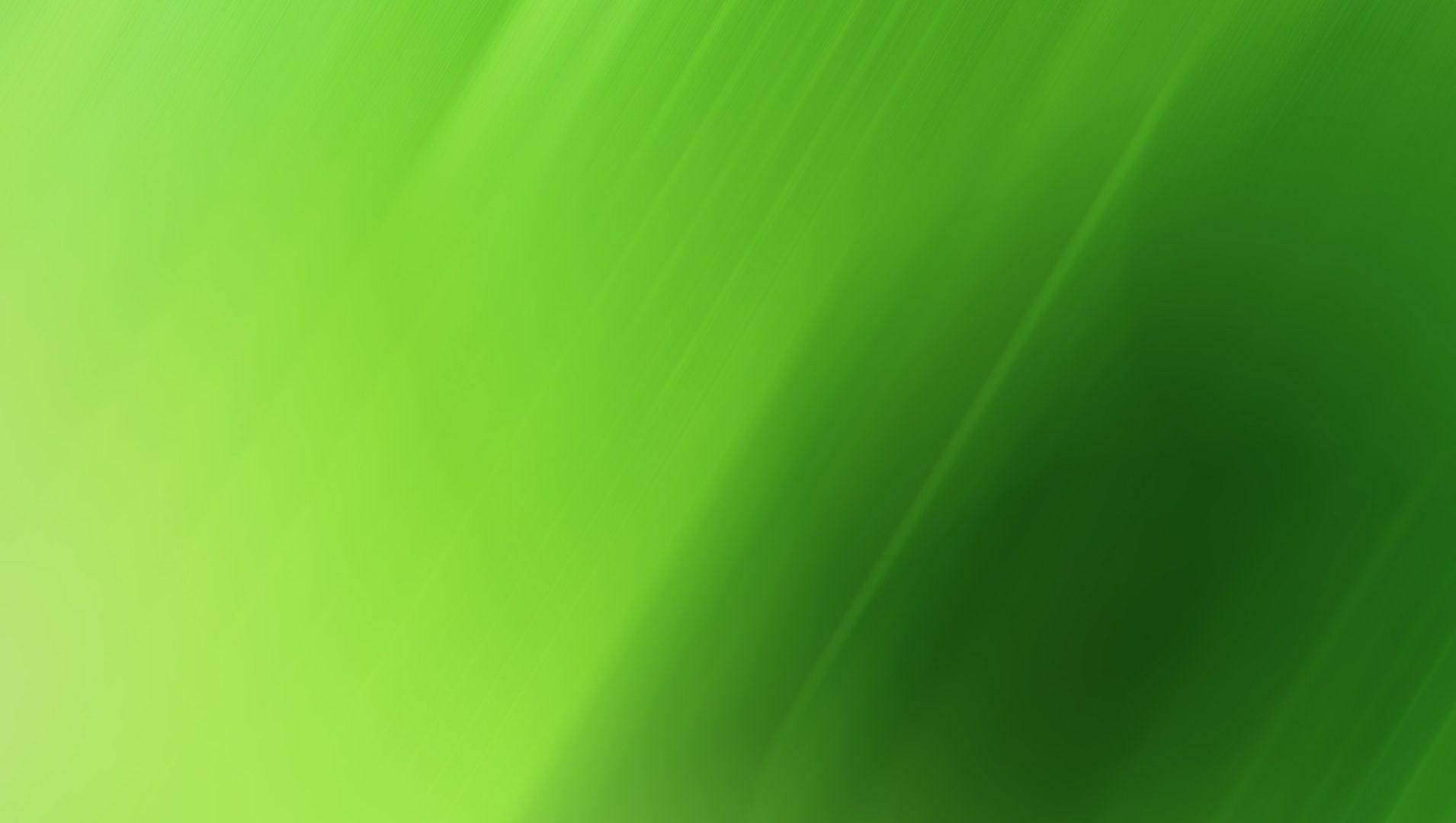 Dark and Light Green Free and Wallpaper