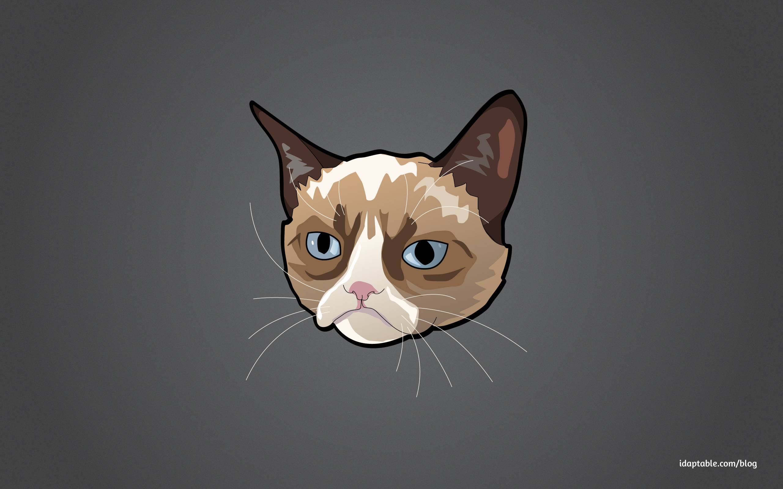 Grumpy Cat wallpaper Web Design, WordPress