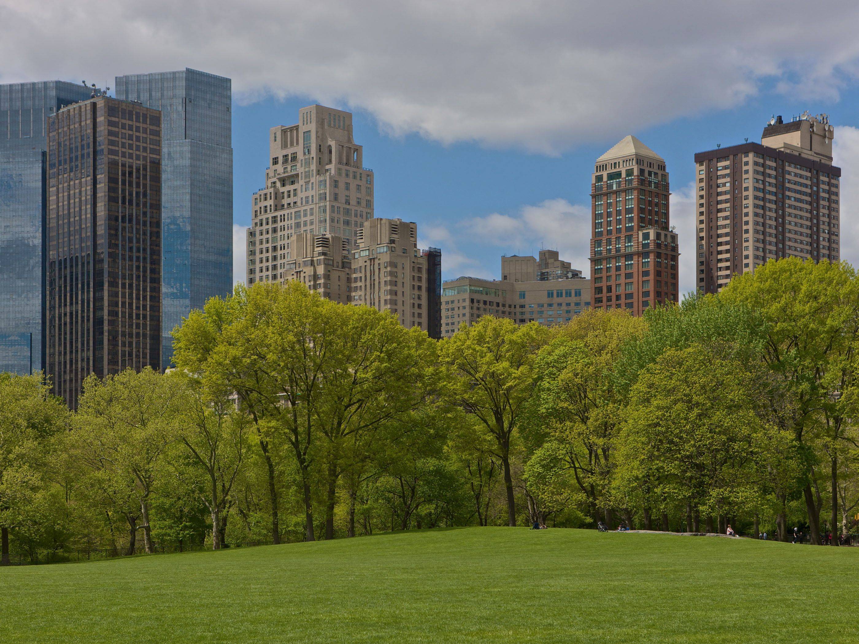 Central Park, New York City, United States high quality wallpaper