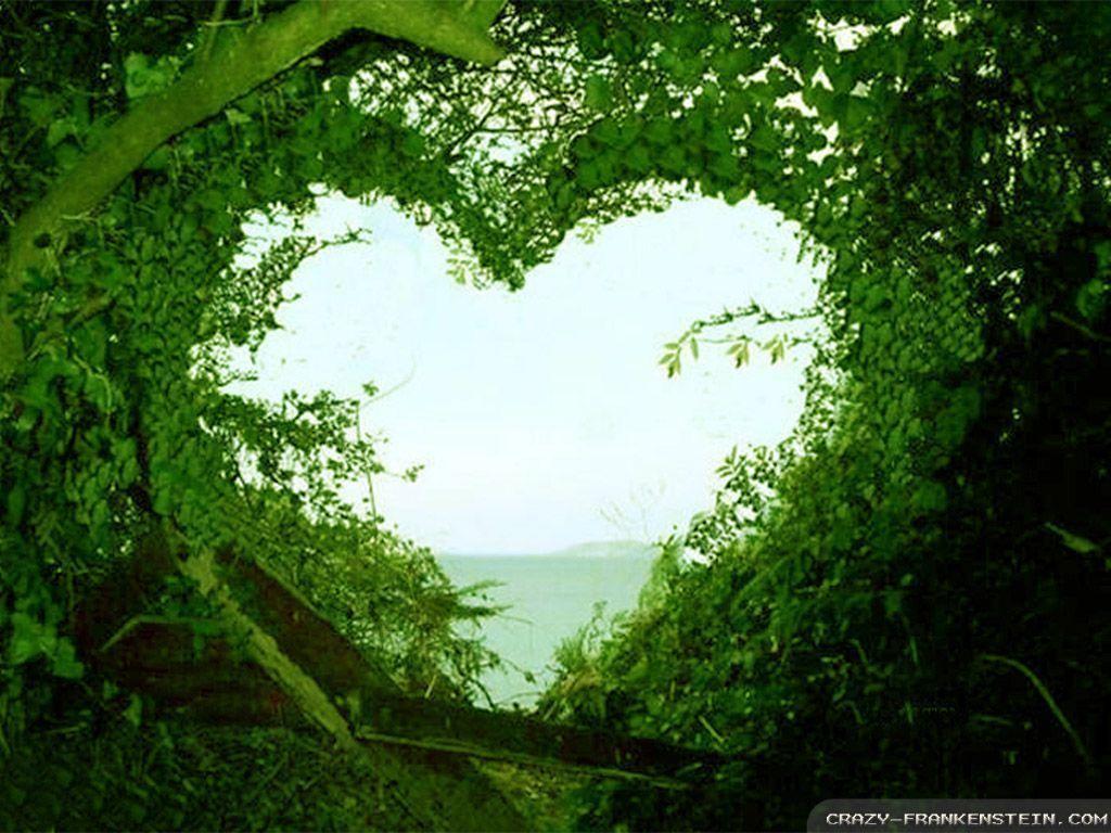 Download Beautiful Love Nature Wallpaper. Full HD Wallpaper