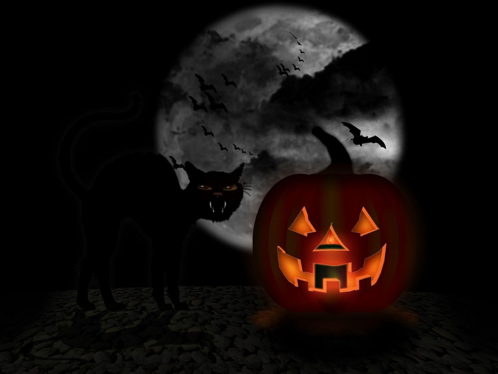 Free Halloween Wallpapers Screensavers  Wallpaper Cave