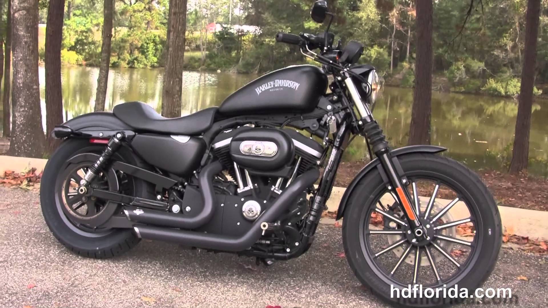 image For > Harley Davidson Iron 883 Blacked Out