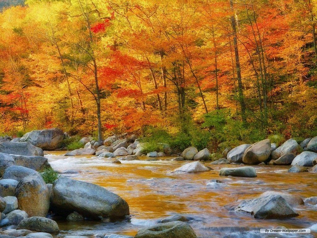 Beautiful Nature Wallpaper HD For Desktop Free Download On LOOKSPK