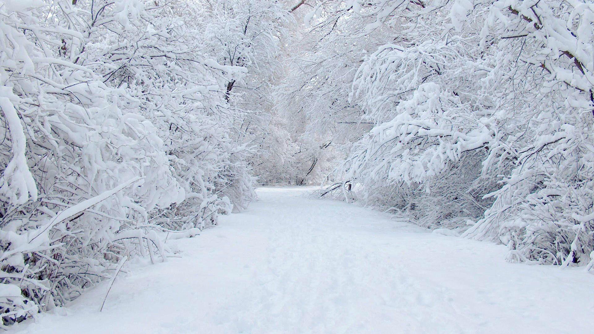 Winter Snow Background Desktop Background. Desktop Background HQ