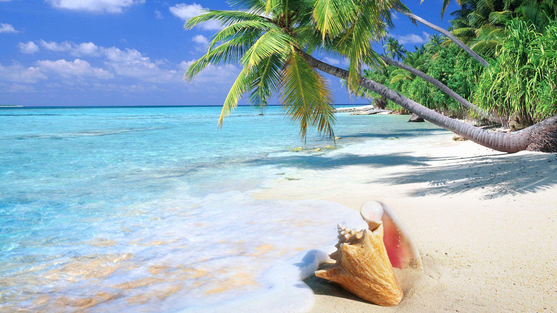 Tropical Island Beach Desktop Background HD Wallpaper