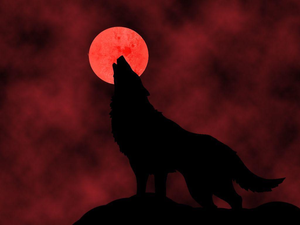 Wallpaper For > Red Moon Wolf Wallpaper