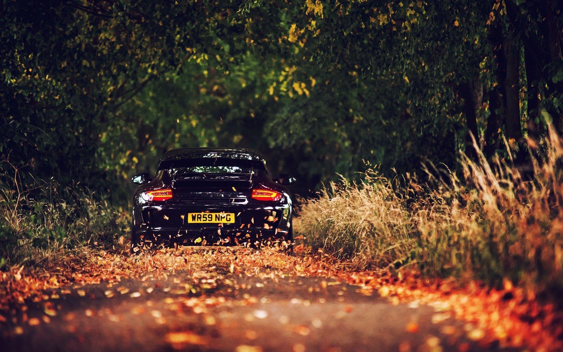 Daily Wallpaper: Into the Fall, Ft. Porsche GT3. I Like To Waste